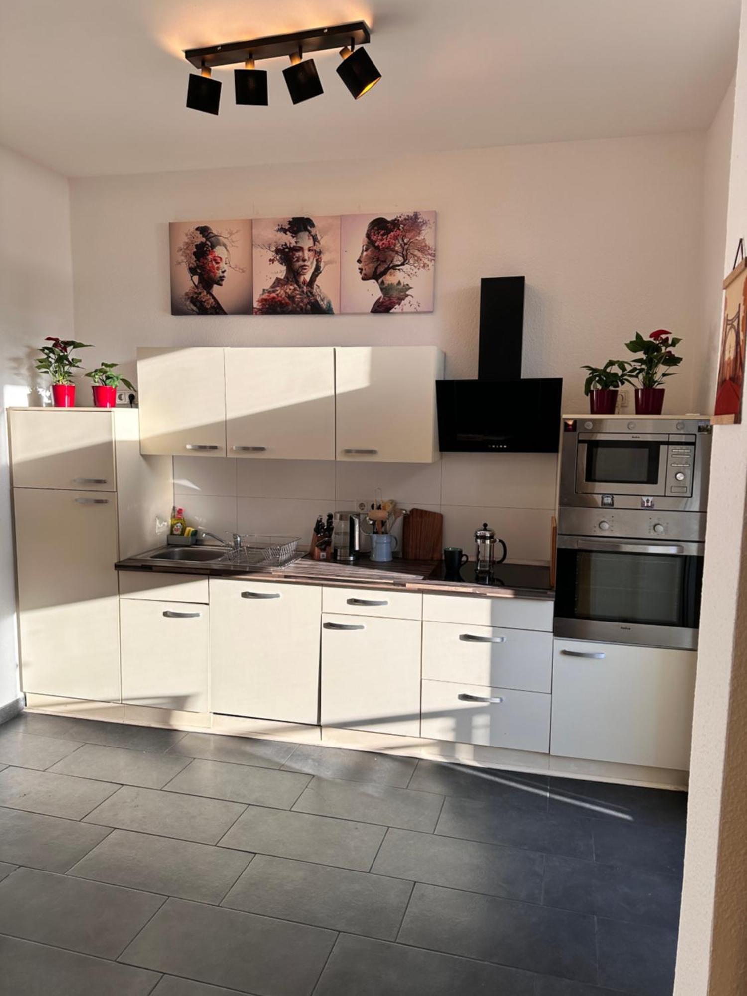 Apartment Altstadt In Unmittelbarer Naehe Zu Saale Und Marktplatz Mit Privatem Parkplatz *